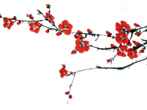  梅花树枝 