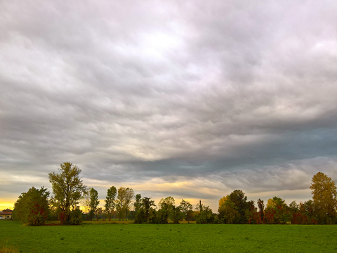  户外草地天空风景 