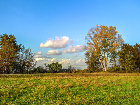  户外草地天空风景 