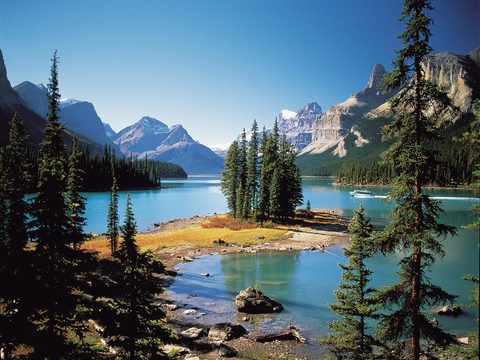  现代天空外景湖水植物风景 
