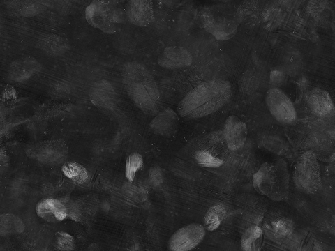  超高清黑白指纹反射 金属反射 常用指纹 