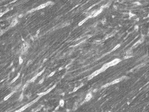  石材 混凝土 污渍 刮痕 