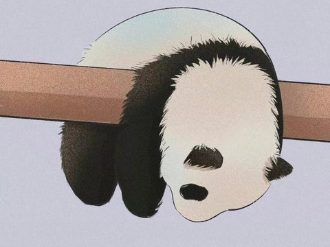  卡通动物熊猫_儿童装饰画贴图 