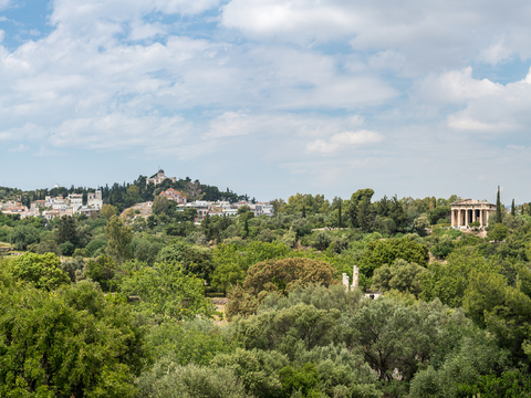  高清白天城市森林外景 