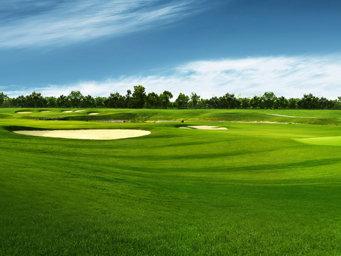  高清白天绿地自然风景 