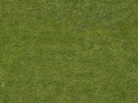  高清无缝自然草地草皮草坡绿地贴图 草皮 