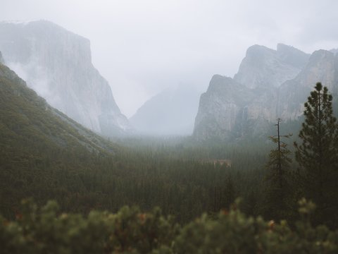 迷雾山谷 自然景色
