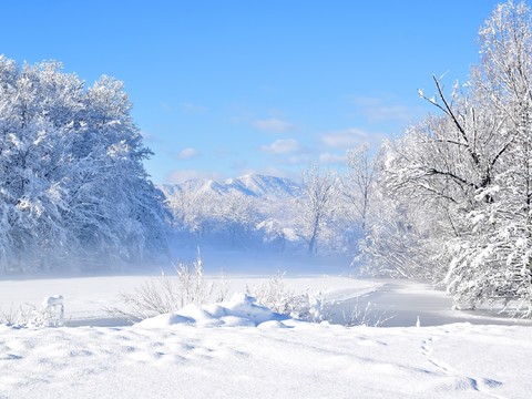  白天森林雪景雪白外景贴图 