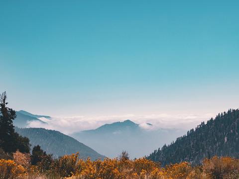  自然风景 窗外景 
