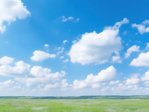  天空 草地 