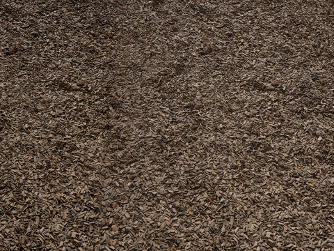  森林地面 枯树叶 沙土地面 