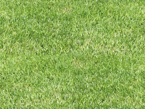  草皮地面 