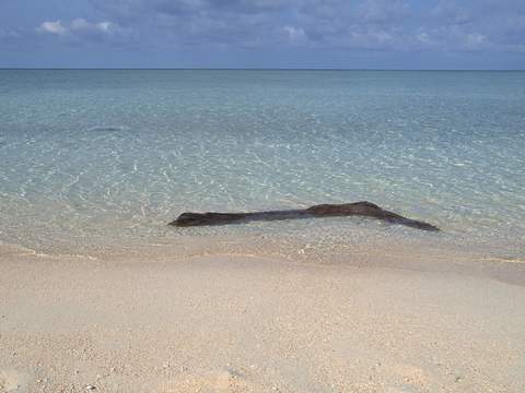 漂亮沙滩 海水波纹