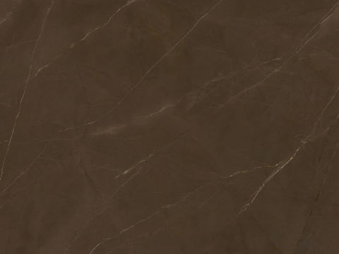  德赛斯岩板TG01D-啡网-PULPIS 