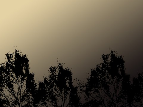  外景 素材 树林 