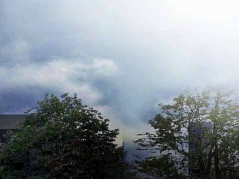  外景 素材 树林 