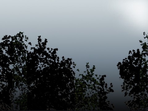  外景 素材 树林 