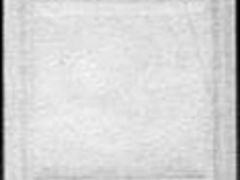  凹凸浮雕 花纹贴图 