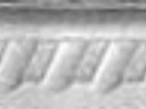  凹凸浮雕 花纹贴图 