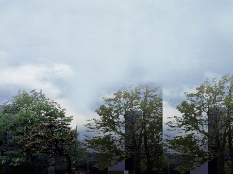  外景 素材 树林 