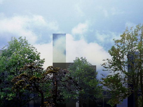  外景 素材 树林 