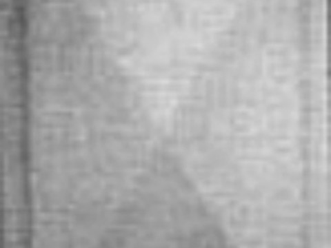  凹凸浮雕 花纹贴图 