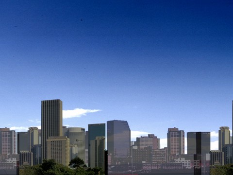  外景 素材 树林 