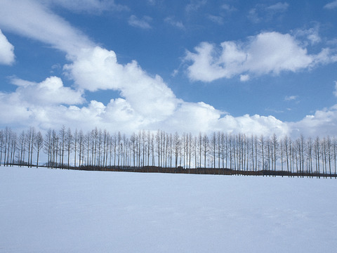  漂亮自然外景贴图 天空贴图 