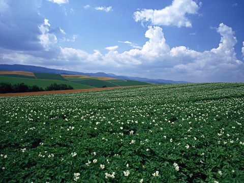  漂亮外景素材 天空贴图 