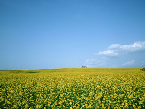  漂亮外景素材 天空贴图 