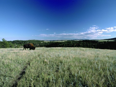  漂亮外景素材 天空贴图 