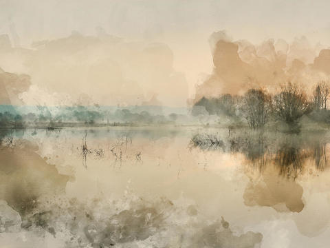  米灰色做旧植物壁纸 