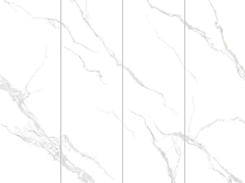  白色大理石拼花 