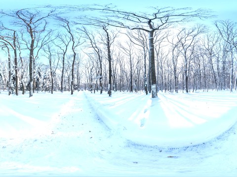  雪地 外景素材 