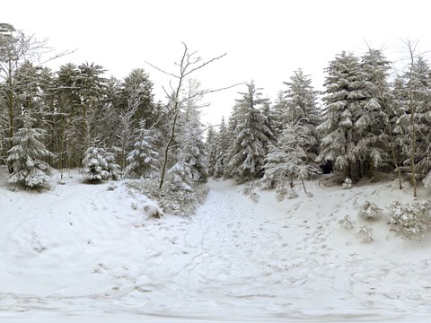 雪地 外景素材 