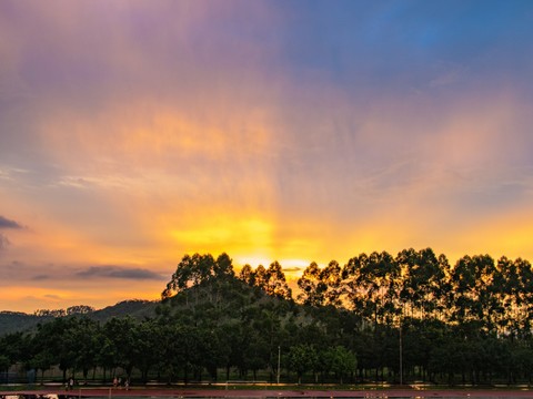  自然风景 山脉树林 