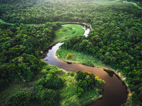  绿色丛林河流风景 
