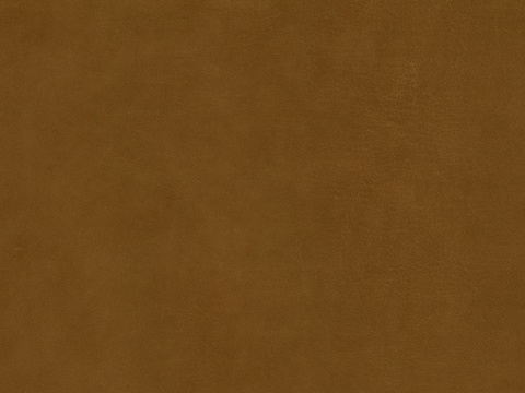  皮纹理 