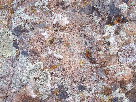  石材 岩石 石头 