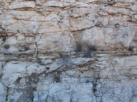  石材 岩石 石头 