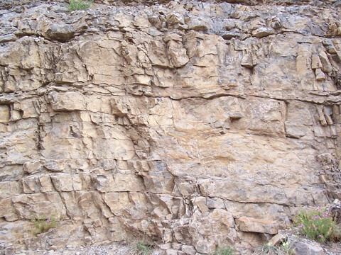  石材 岩石 石头 