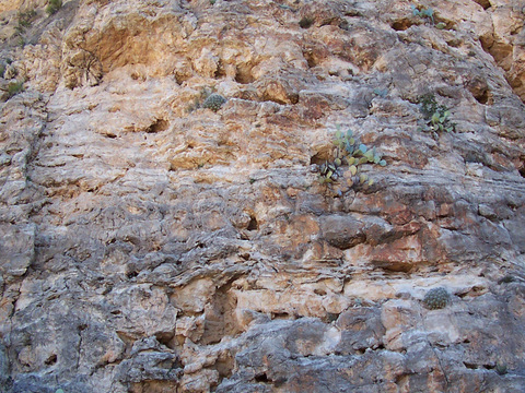  石材 岩石 石头 