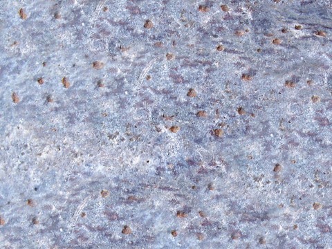  石材 岩石 石头 