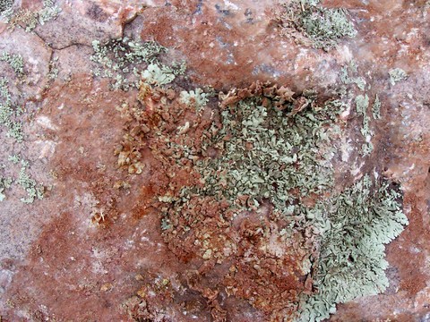  石材 岩石 石头 