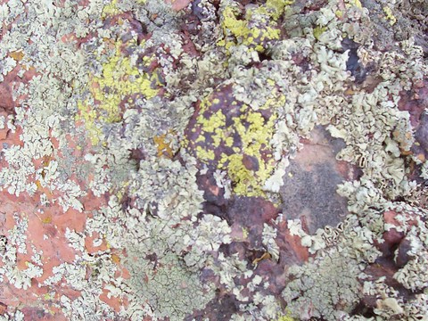  石材 岩石 石头 