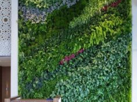  植物墙 