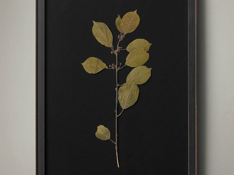  现代精美装饰画 