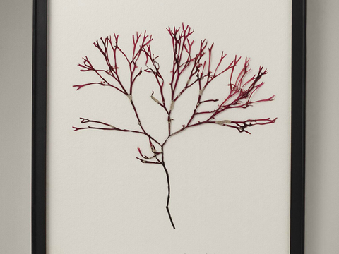  现代精美装饰画 