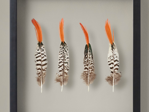  现代漂亮装饰画 