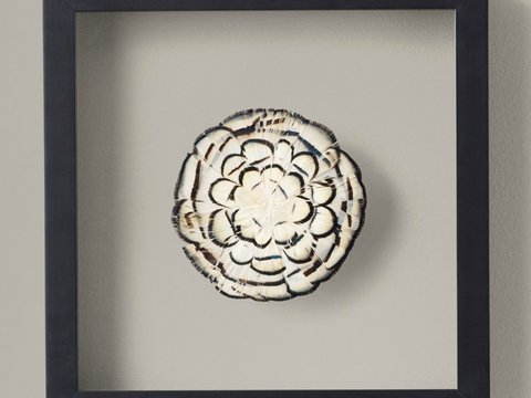  现代漂亮装饰画 